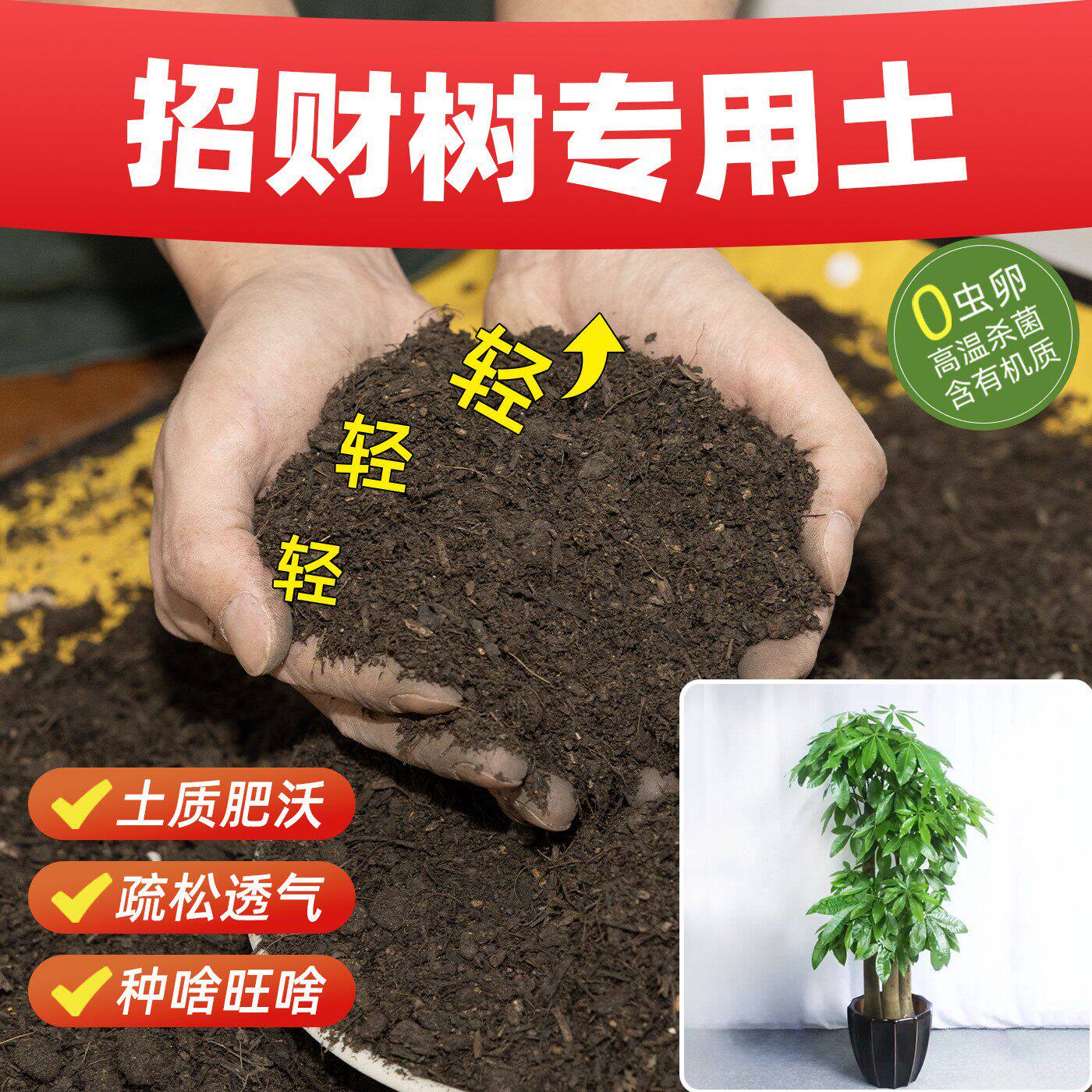 招财树专用营养土促生根种植土壤长效肥效无虫卵缓育苗土室内盆栽