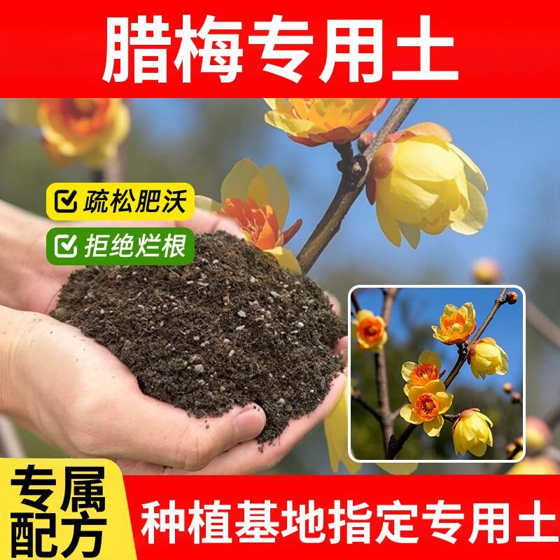 腊梅专用土室内养花专用土椰砖花盆花园天然栽培土植物有机家用