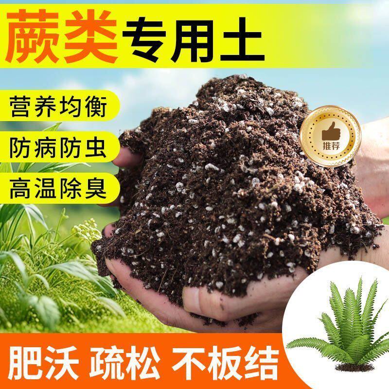 蕨类专用土营养土盆栽种植土壤种花土养花土绿萝育苗土兰花土肥料
