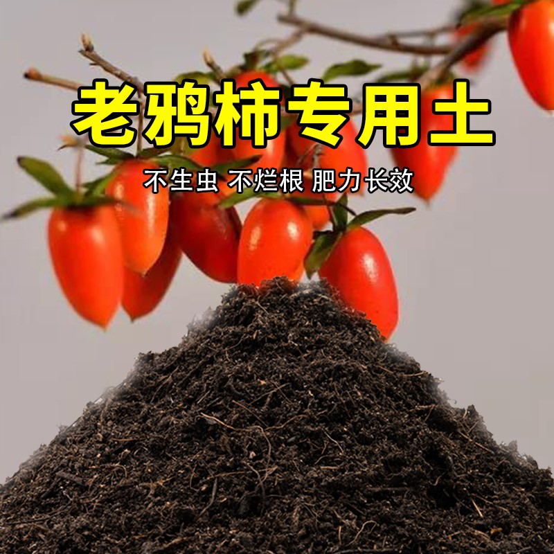 老鸦柿专用土农业果园种植土老鸦柿营养土家庭果树有机土壤盆栽土