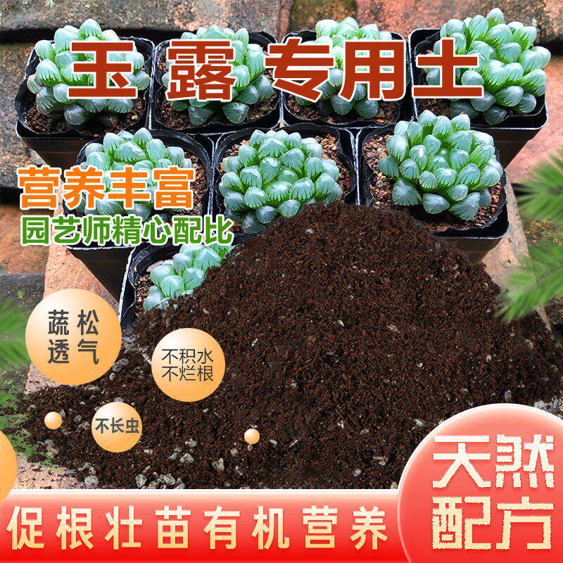 玉露专用土多肉营养土通用型黑法师肉肉培植土壤透气花泥花卉植料