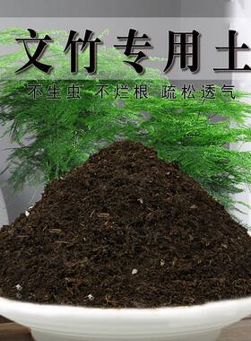 文竹专用土文竹专用营养土有机肥料种花泥种植土壤养花家用培养土