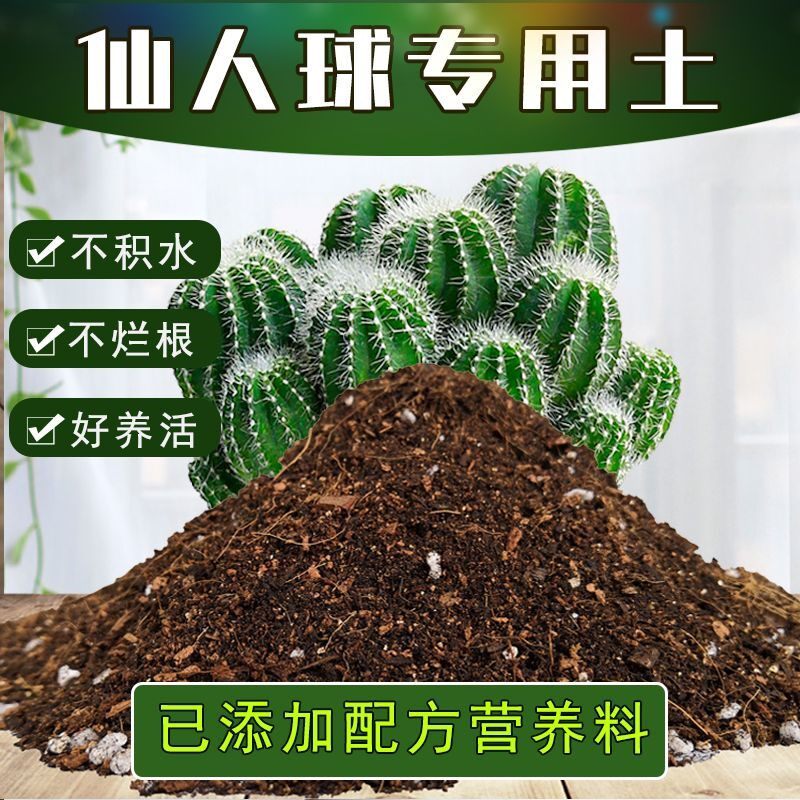 仙人球专用土仙人球土盆栽透气营养土通用种花养花种植土有机土壤