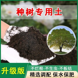 种树专用土树苗营养土有机绿植土壤幸福树发财树土通用型花土肥料