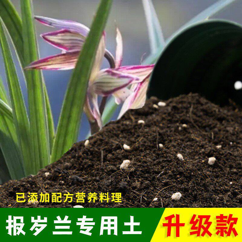 报岁兰专用土报岁兰营养土有机土肥料家用种植土盆栽种花养花泥土