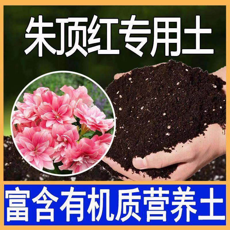 种朱顶红专用土壤花土营养土球根植物专用土肥料土壤种植土腐殖土