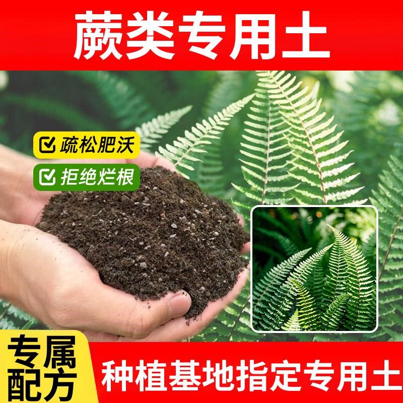 蕨类专用土绿植物花卉种植土种花土栽培土种菜土盆栽专用土花草