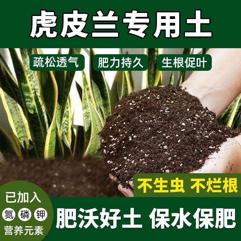 虎尾兰专用土花卉绿植植物通用增根壮苗虎尾兰营养土种植土促生根