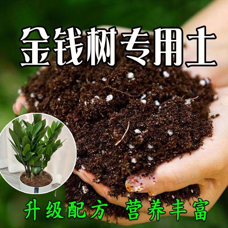 金钱树种植土壤专用营养土种花养花土花卉盆栽土多肉绿萝土壤肥料