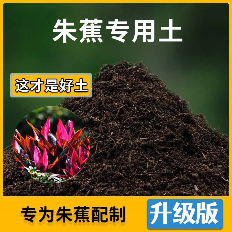 朱蕉专用土花草种植土壤朱蕉营养土盆栽种花养花植物肥料有机土