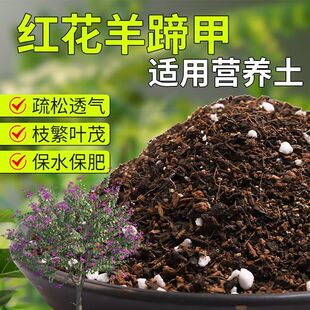 【红花羊蹄甲专用土】疏松透气盆栽绿植专用室内植物有机营养土肥