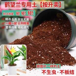 鹤望兰专用土轻质土天堂鸟专用营养土花卉绿植通用种植土盆栽有机