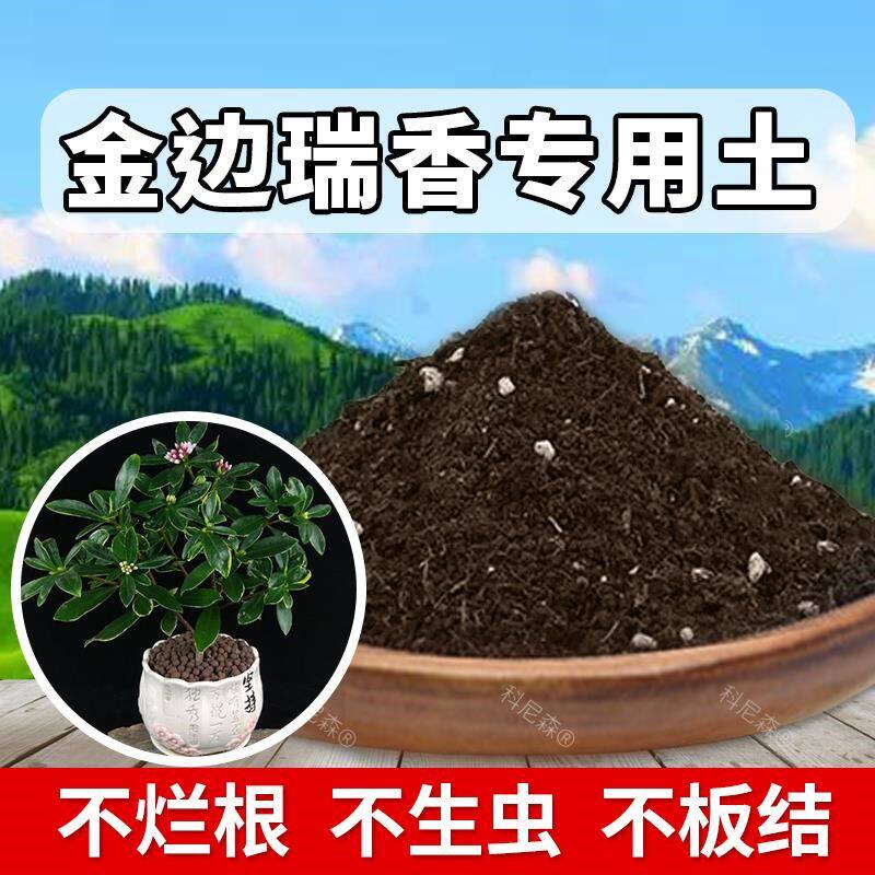 金边瑞香专用土肥料金边瑞香专用营养土植物花卉种植土养花有机土