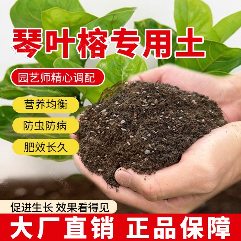 琴叶榕专用土肥料琴叶榕营养土种植蓬松有机土花盆绿植种花室内
