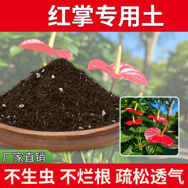 红掌专用土土壤天然盆栽土壤花盆花肥室内养花专用土植物家庭家用