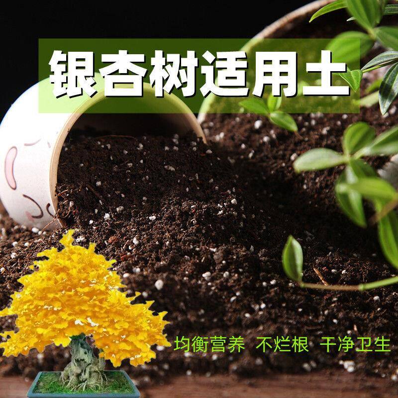 银杏树适用土酸性种花种菜营养土通用型疏松透气种植有机土专用土