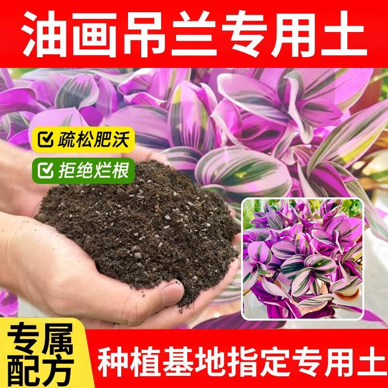 油画吊兰专用土花土花卉油画吊兰专用营养土园艺家庭花园绿植有机