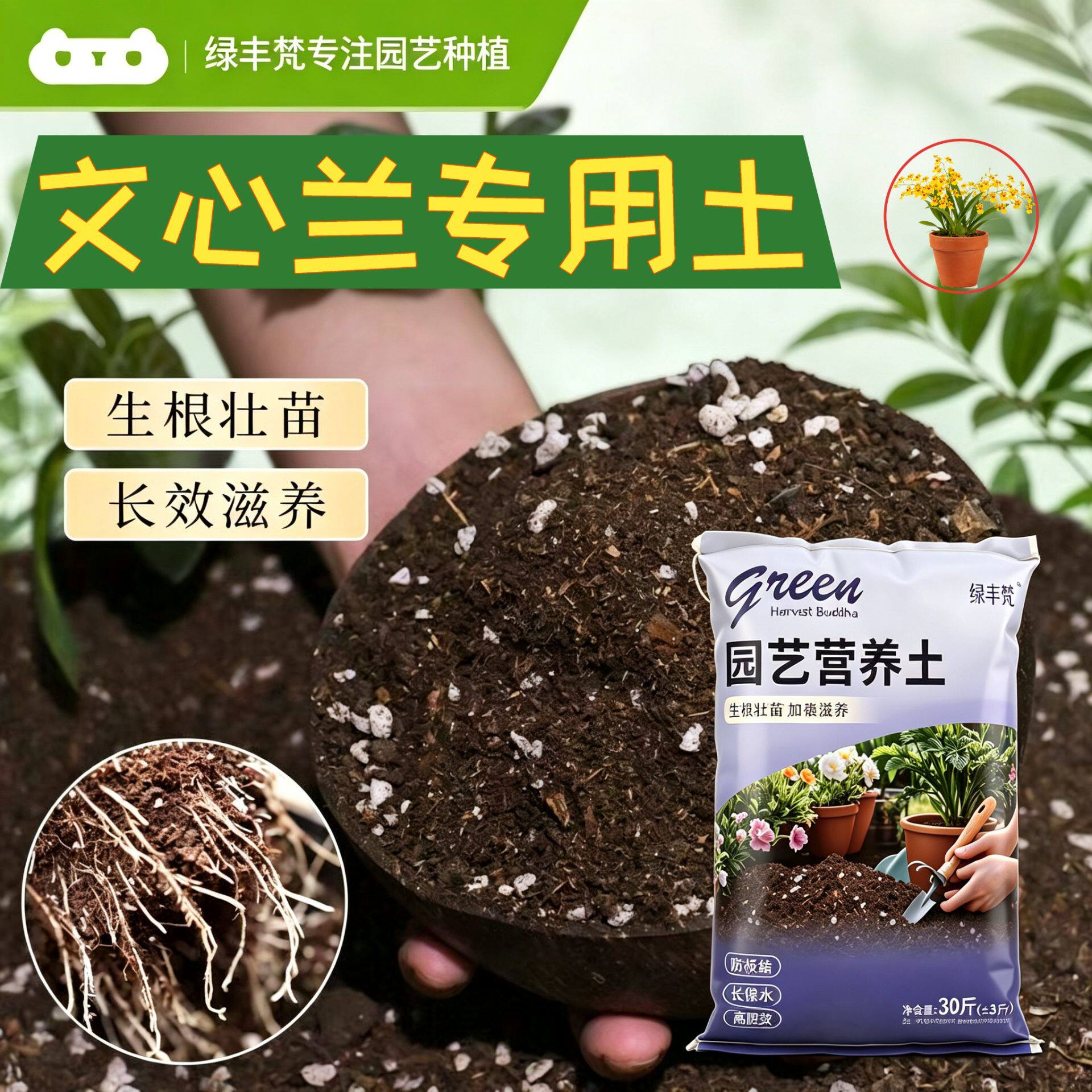 文心兰适用基质腐殖泥炭土家庭园艺泥炭基质有机促生长观叶盆景