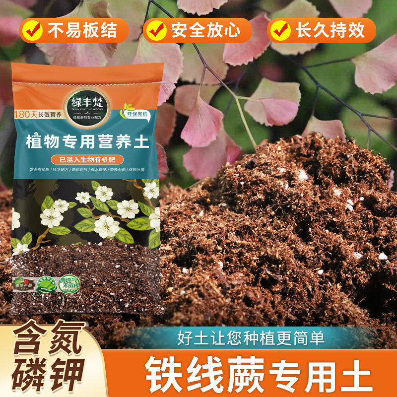铁线蕨专用花泥根壮苗好家用盆栽土洁净基质调节土质大包装木本