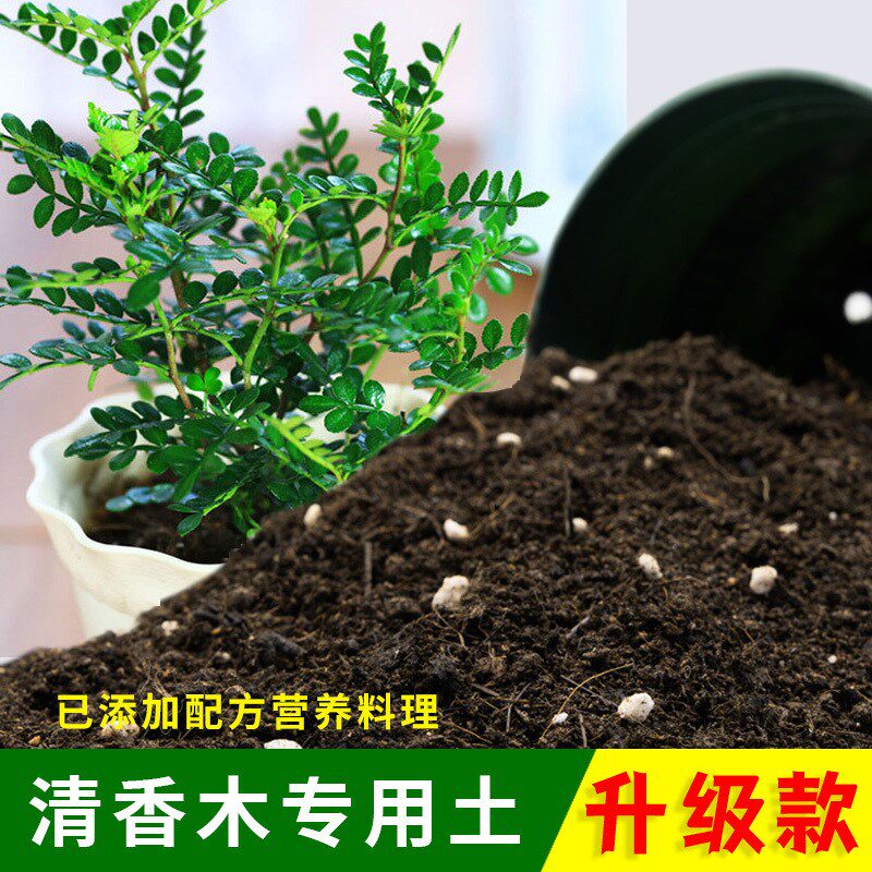 清香木专用土有机土肥料家用种植土清香木营养土盆栽养花通用包邮