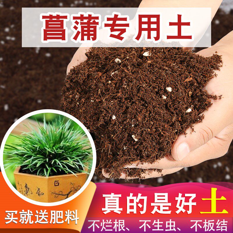 菖蒲专用土养花营养土花土通用种花专用的营养土花泥土壤花卉黑土