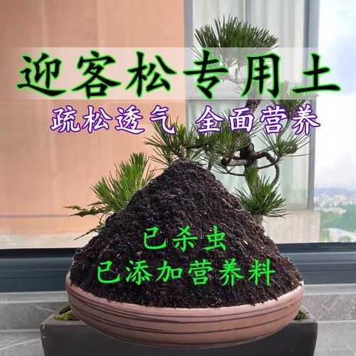 迎客松专用土迎客松土盆栽盆景营养土酸性沙质土壤绿植种植土肥料
