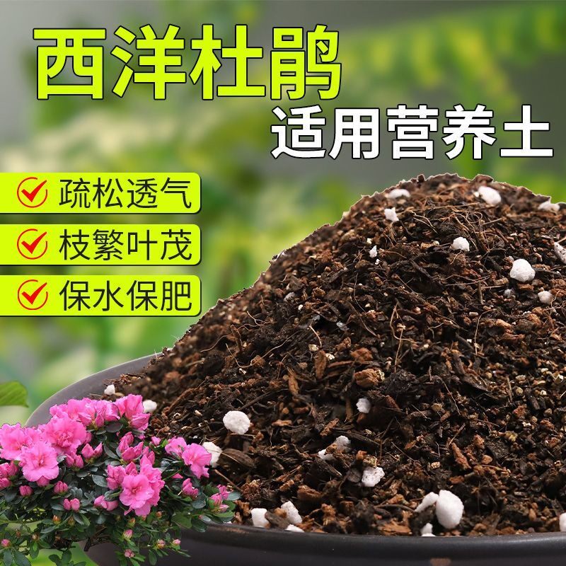 【西洋杜鹃专用土】疏松透气盆栽绿植专用室内植物有机营养土肥料