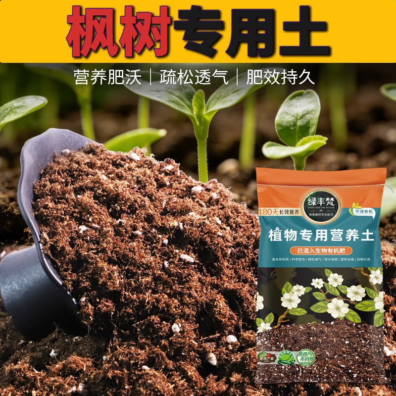 枫树适用种植土家庭适用花卉营养土天然改善板结开袋即用球根绿叶