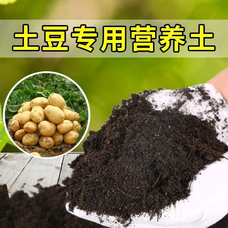 土豆专用土家用种菜种植肥料土有机土壤阳台蔬菜盆栽土土豆营养土