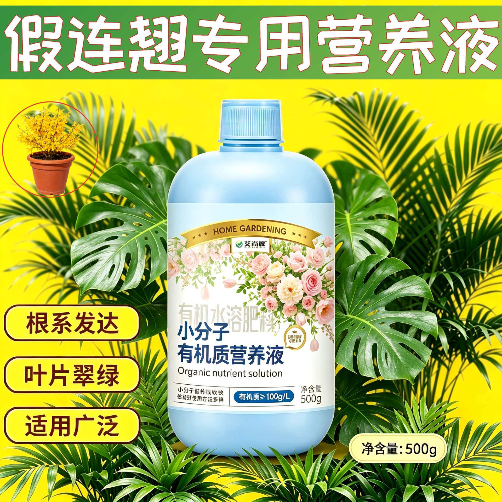 假连翘适用小分子有机质水培型营养液浓缩高效兑水即用家用园艺