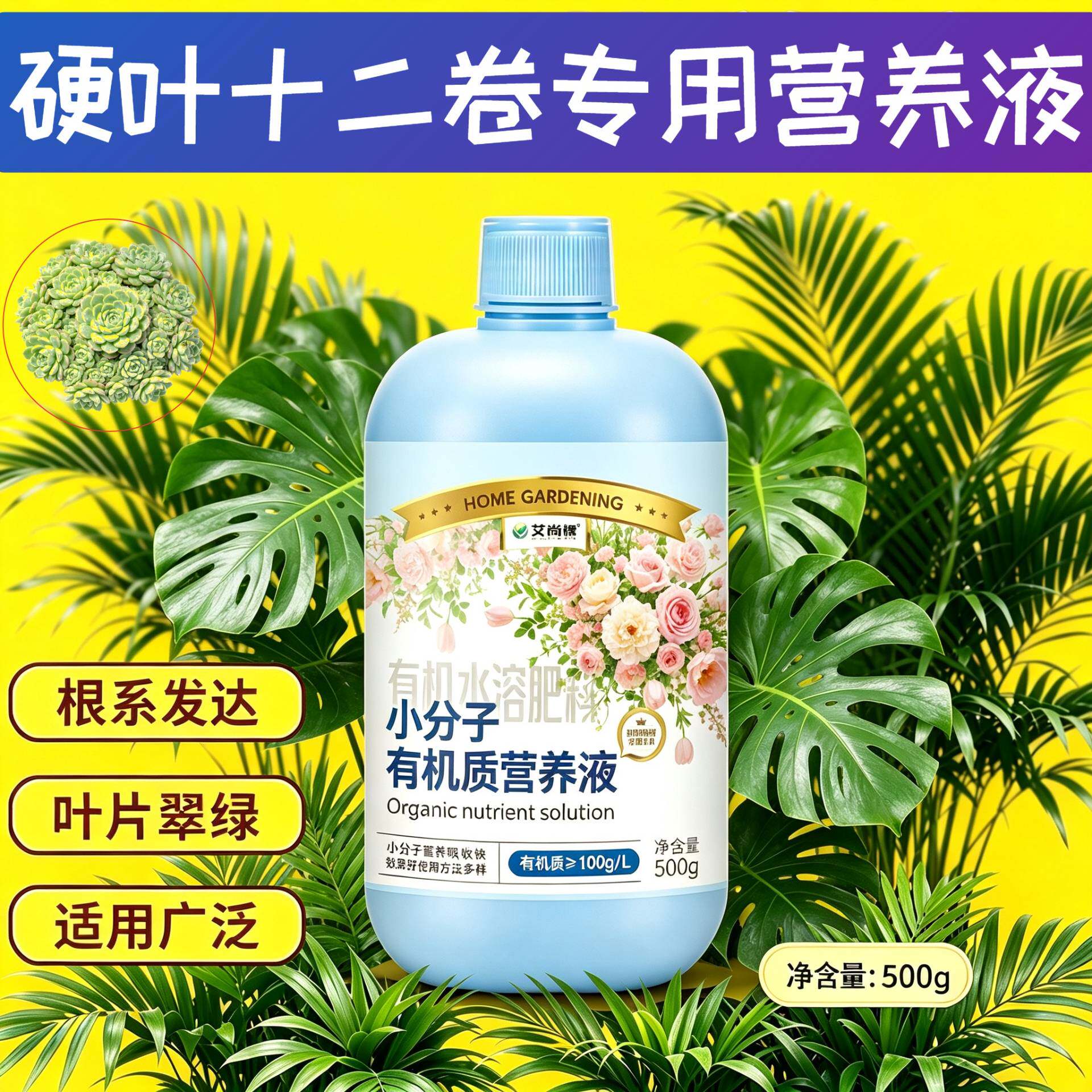 硬叶十二卷适用小分子有机质营养液小分子有机质水溶肥适用广泛