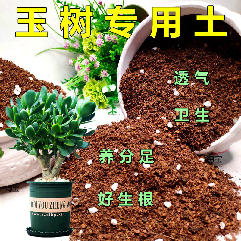 玉树专用土姬红花月通用型营养土有机土透气多肉植物老桩花泥热卖