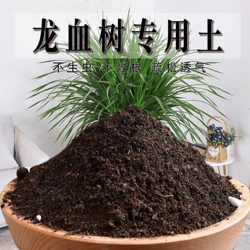 龙血树专用土泥土疏松种植土花园天然发酵有机土家用龙须树营养土