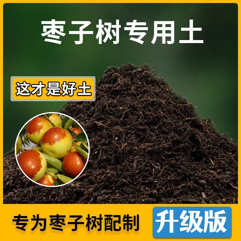 枣子树专用土枣子树营养土家用种植土壤家庭盆栽种花养花有机土