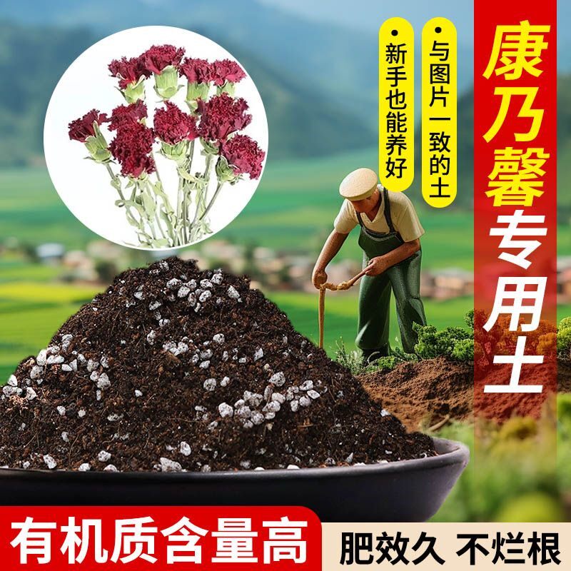 康乃馨营养土专用土疏松透气含泥炭肥料通用有机种植土适用土轻质