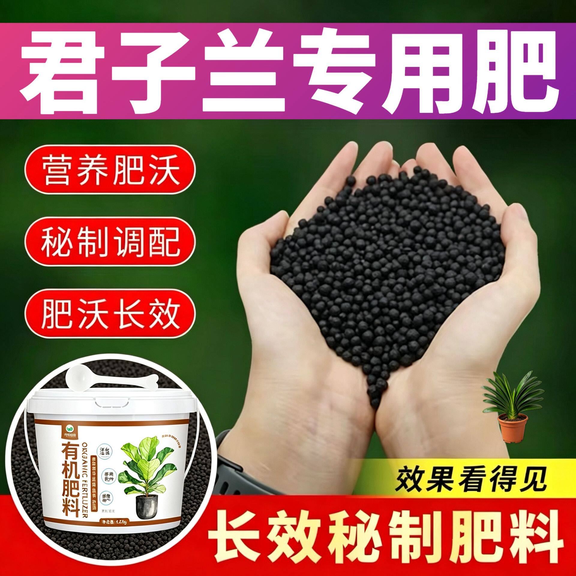 君子兰适用肥叶面肥壮苗促长盆栽追肥营养肥根系发达枝繁叶茂底肥