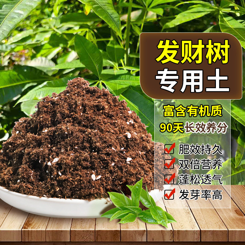 发财树适用园土防徒长扦插植料专用促生长配方土屋顶基质土营养土