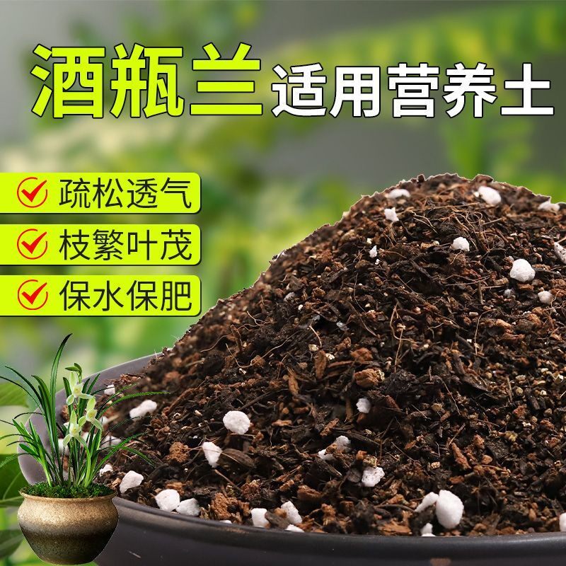 【酒瓶兰专用土】疏松透气盆栽绿植专用室内植物有机营养土肥料