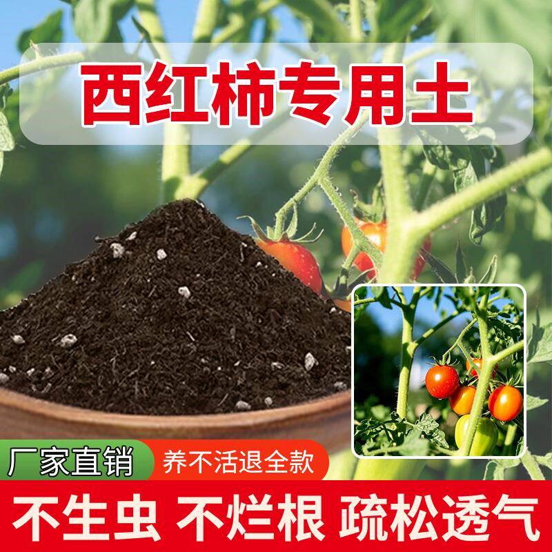 西红柿专用土通用蔬菜育苗专用土花园盆栽土壤肥料种植蔬果果树