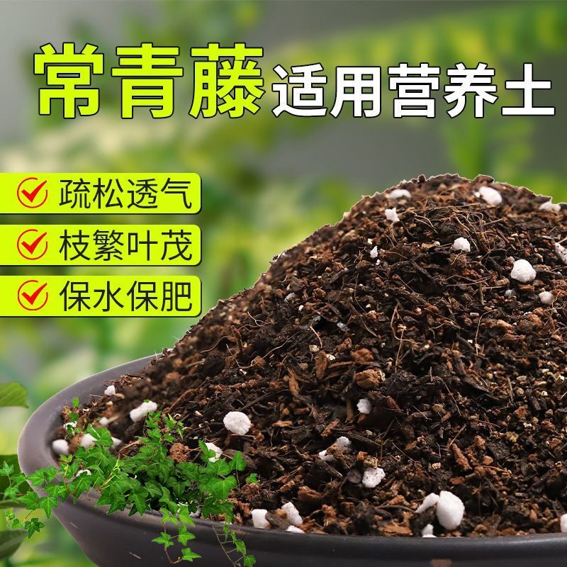 【常青藤专用土】疏松透气盆栽绿植专用室内植物有机营养土肥料