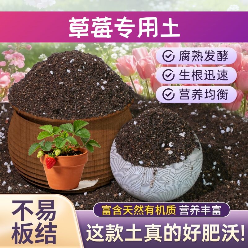 草莓专用含泥炭不板结盆景大包天然促生长木本进口无菌菜园种植土