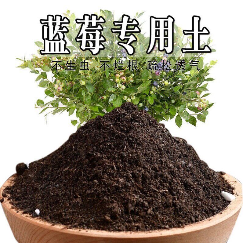 蓝莓专用土蓝莓营养土盆栽泥土花园果树透气黑土通用型水果土壤