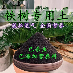 铁树专用土铁树专用营养土盆栽透气养花种花土通用种植土有机肥料