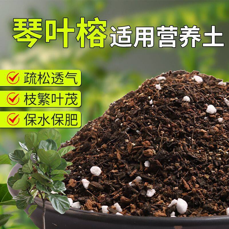 【琴叶榕专用土】疏松透气盆栽绿植专用室内植物有机营养土肥料