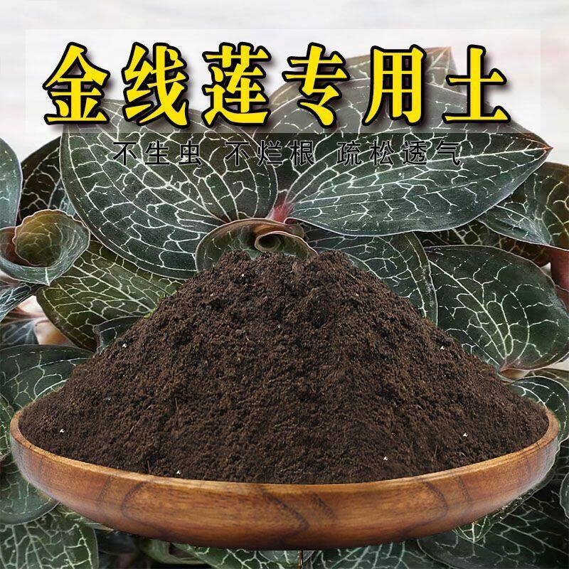 金线莲专用土金线莲专用营养土盆栽绿植土养花土壤种植土有机肥料
