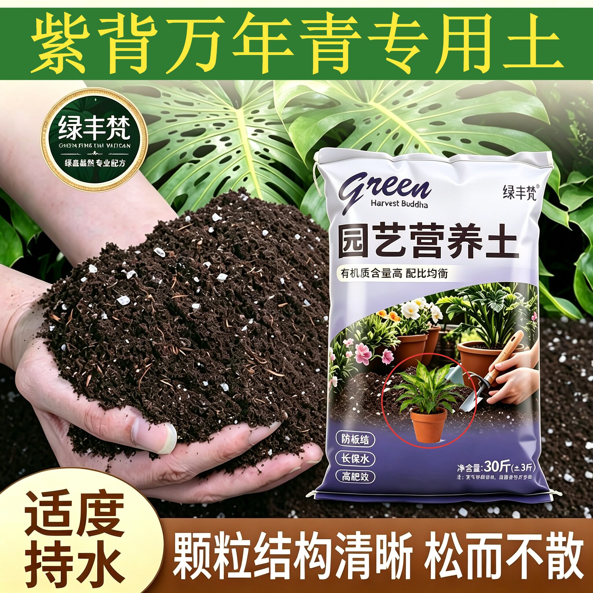 紫背万年青适用栽培土腐殖泥炭土扦插加牛粪有机促生长球根进口