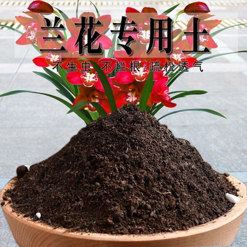 兰花专用土花盆种植土有机肥疏松盆栽土壤兰花营养土发酵有机土