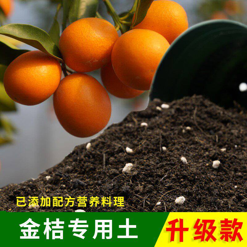 金桔专用土橘子树土盆栽有机土肥料种花泥土营养土种植土壤养花土