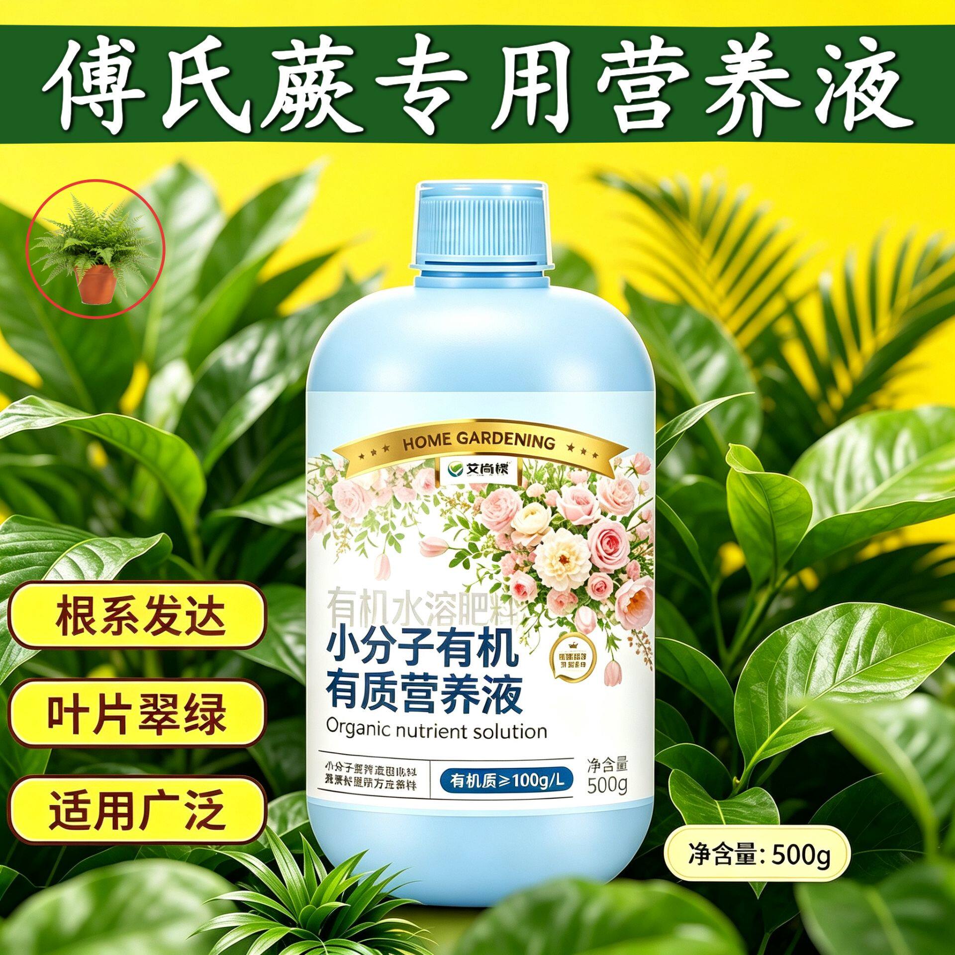 傅氏蕨专用小分子氨基酸叶绿花艳园艺盆栽小分子有机质壮根促长