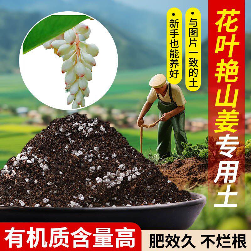 花叶艳山姜专用营养土种花养花绿萝家用盆栽有机肥料椰糠土专用土